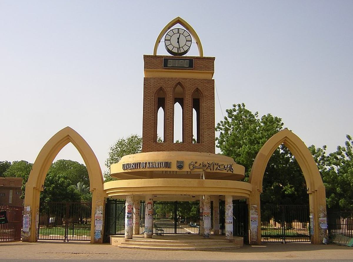 استخراج الشهادة 